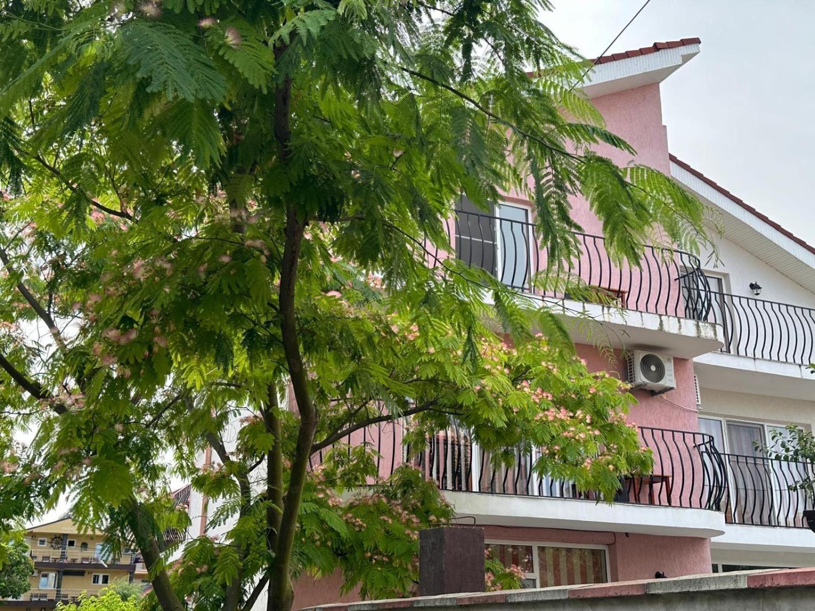 Vila Lucy Costinesti Otel Dış mekan fotoğraf